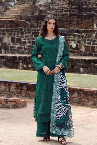 Emerald Drape With Long Shirt