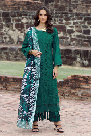 Emerald Drape With Open Shirt