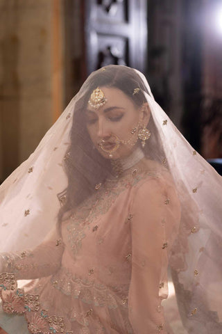 D#1 Organza Handwork Wedding Series Vol-2 - SOURUNG PVT LTD