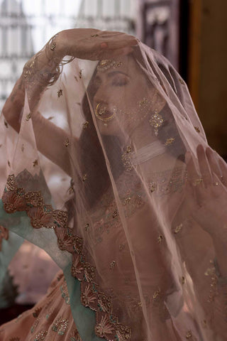 D#1 Organza Handwork Wedding Series Vol-2 - SOURUNG PVT LTD