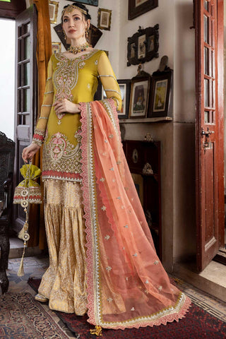 D#3 Organza Handwork Wedding Series Vol-2 - SOURUNG PVT LTD