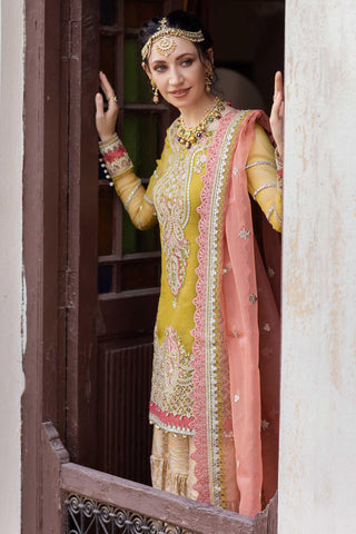 D#3 Organza Handwork Wedding Series Vol-2 - SOURUNG PVT LTD