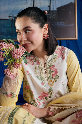 Titli