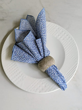 Dressed in Blue for Dinner